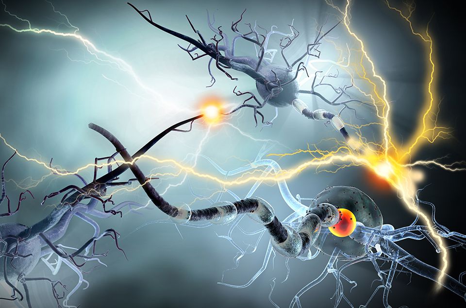 Neurons dying in Alzheimer's